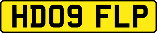 HD09FLP