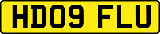 HD09FLU