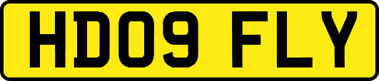 HD09FLY