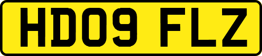 HD09FLZ