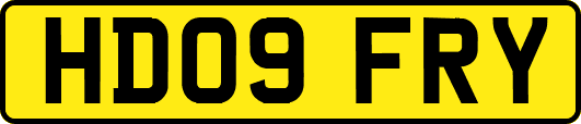 HD09FRY