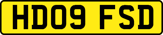 HD09FSD
