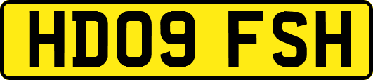 HD09FSH