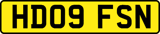 HD09FSN