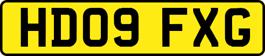 HD09FXG