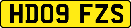 HD09FZS