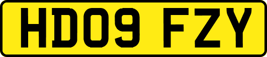 HD09FZY