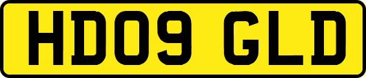 HD09GLD