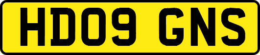 HD09GNS