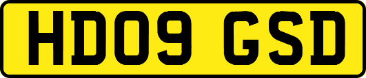 HD09GSD