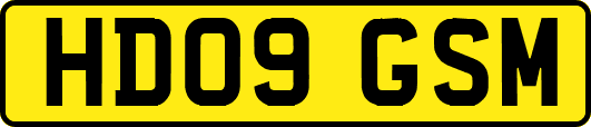HD09GSM