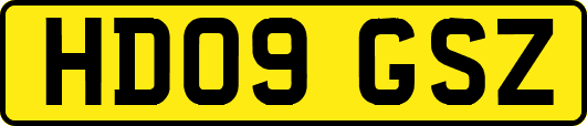 HD09GSZ