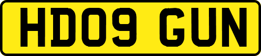 HD09GUN