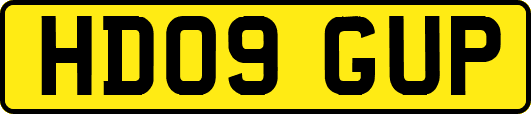 HD09GUP