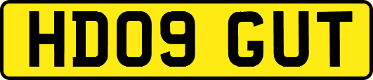 HD09GUT