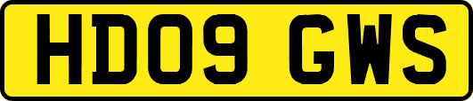 HD09GWS