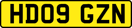 HD09GZN