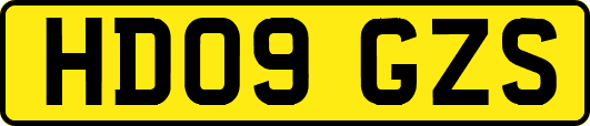 HD09GZS