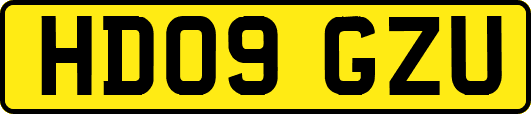 HD09GZU