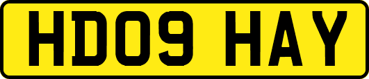 HD09HAY