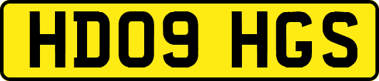 HD09HGS