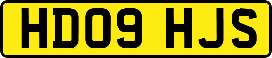 HD09HJS