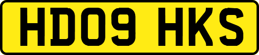 HD09HKS