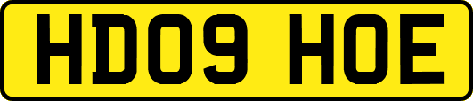 HD09HOE