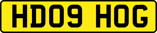 HD09HOG