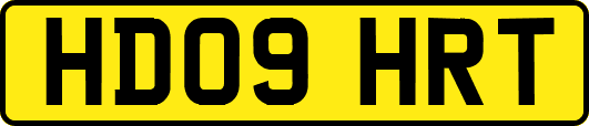 HD09HRT