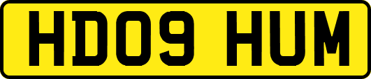 HD09HUM