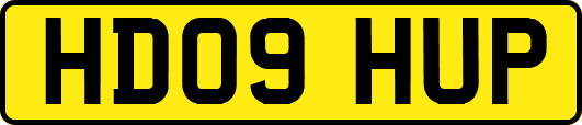 HD09HUP