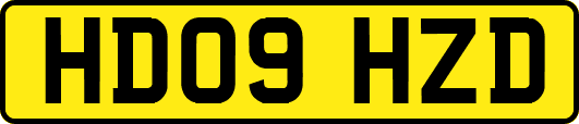 HD09HZD