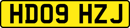 HD09HZJ