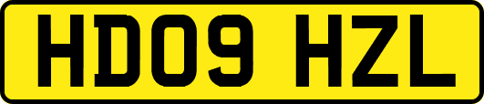 HD09HZL