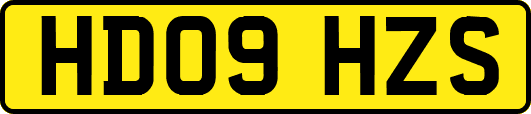 HD09HZS