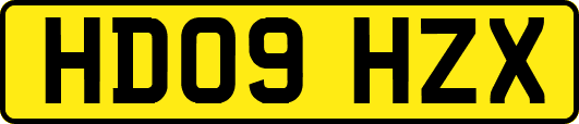 HD09HZX