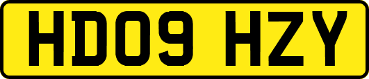 HD09HZY