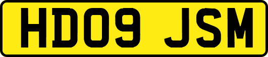 HD09JSM