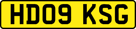 HD09KSG