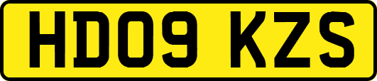 HD09KZS