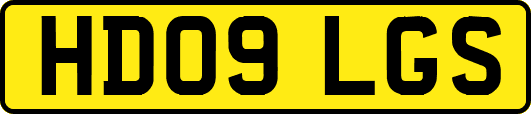 HD09LGS