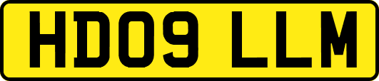 HD09LLM