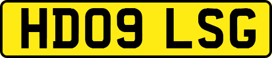 HD09LSG