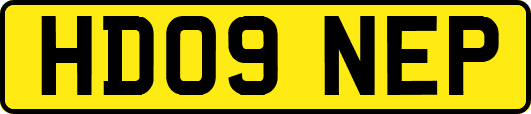 HD09NEP