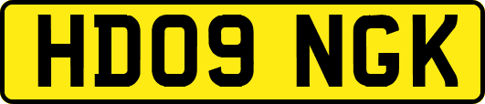 HD09NGK
