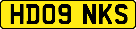 HD09NKS
