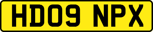 HD09NPX
