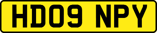 HD09NPY