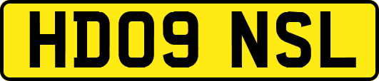 HD09NSL